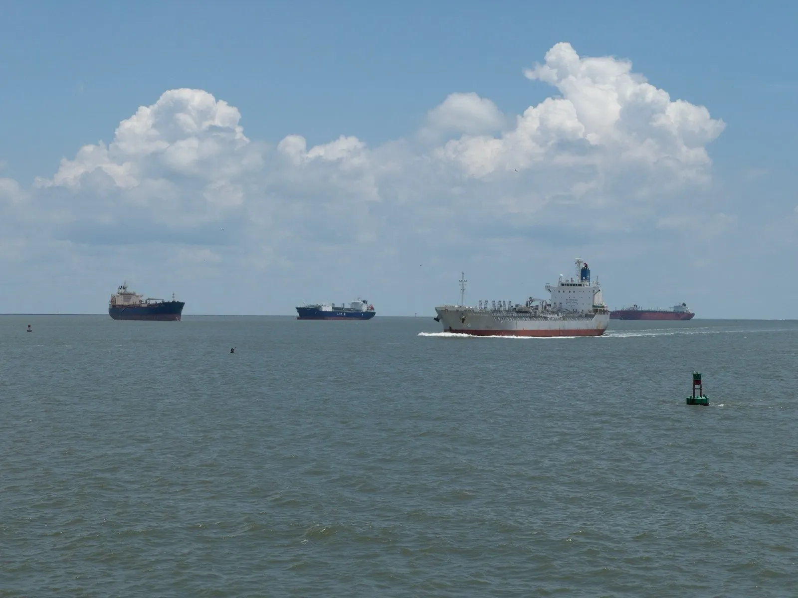 Various cargo and coast guard ships on a blue gray bay