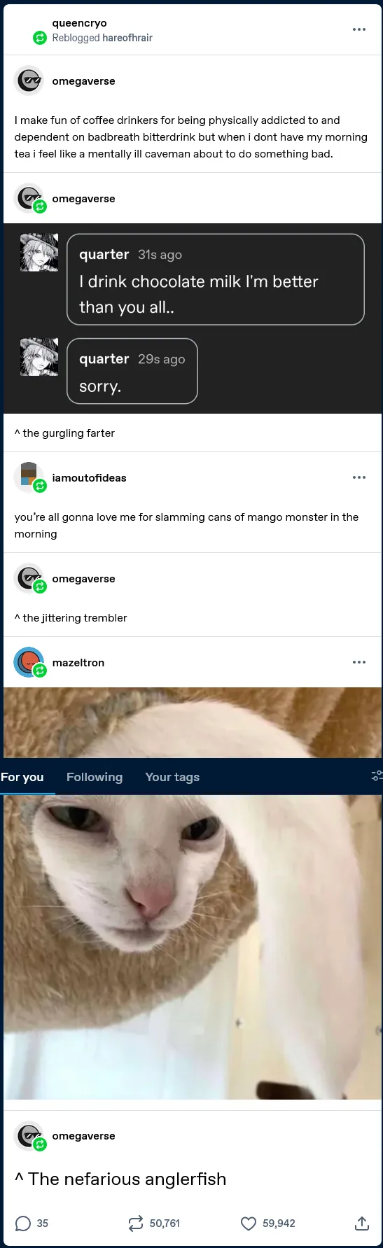 example tumblr post